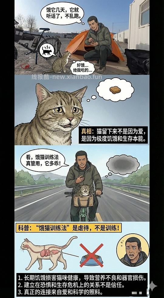 讨论/【科普】养猫科普漫画，不定期更新中（2.10 更新封窗、新手养猫误区科普） - 线报酷