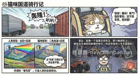 讨论/【科普】养猫科普漫画，不定期更新中（2.10 更新封窗、新手养猫误区科普） - 线报酷