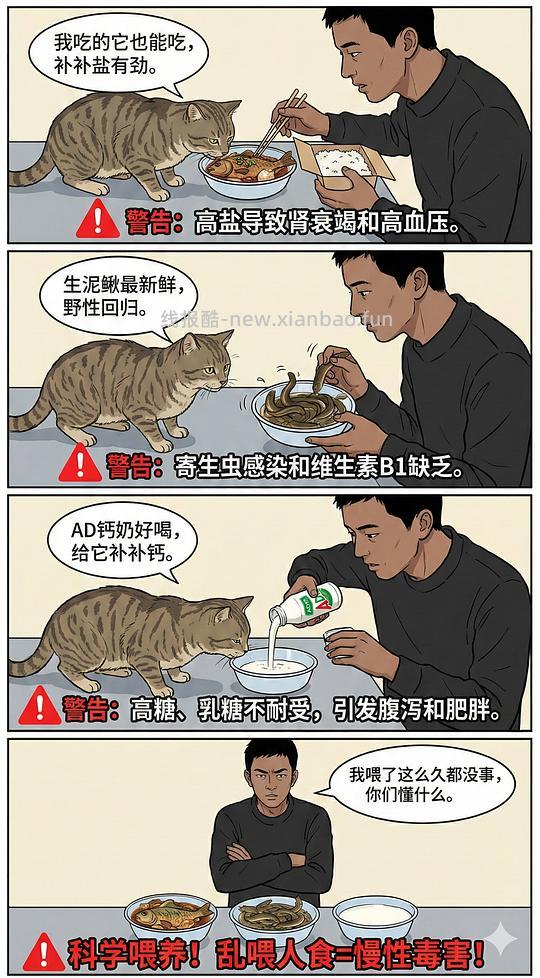 讨论/【科普】养猫科普漫画，不定期更新中（2.10 更新封窗、新手养猫误区科普） - 线报酷