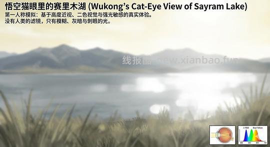 讨论/【科普】猫眼里看到的世界和猫并不想看的世界💁🏻请停止幻想，猫不需要这些 - 线报酷