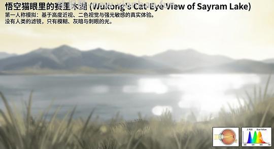 讨论/【科普】养猫科普漫画，不定期更新中（2.10 更新封窗、新手养猫误区科普） - 线报酷