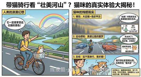 讨论/【科普】养猫科普漫画，不定期更新中（2.10 更新封窗、新手养猫误区科普） - 线报酷
