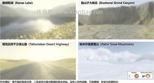 讨论/【科普】养猫科普漫画，不定期更新中（2.10 更新封窗、新手养猫误区科普） - 线报酷