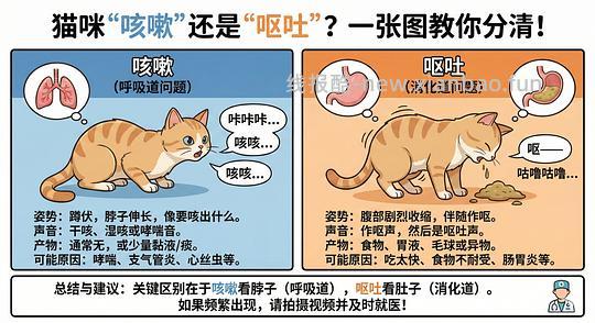 讨论/【科普】养猫科普漫画，不定期更新中（2.10 更新封窗、新手养猫误区科普） - 线报酷