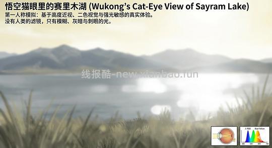 讨论/【科普】养猫科普漫画，不定期更新中（2.10 更新封窗、新手养猫误区科普） - 线报酷