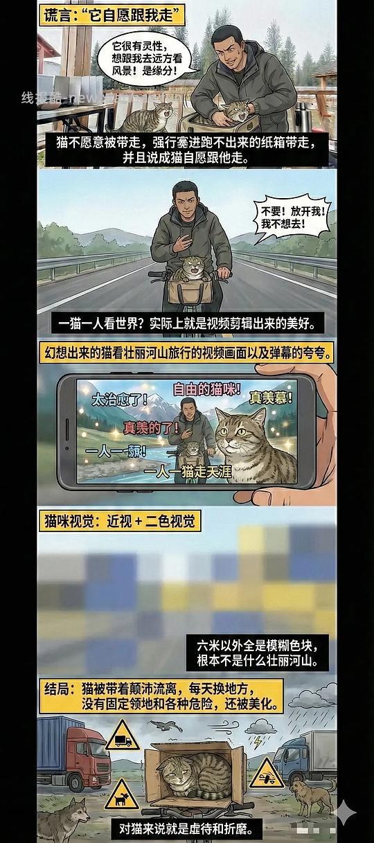 【科普】养猫科普漫画，持续更新中（1.17更新猫视觉听觉嗅觉、应激呕吐、消化呼吸泌尿系统、新猫到家、后院科普） - 线报酷