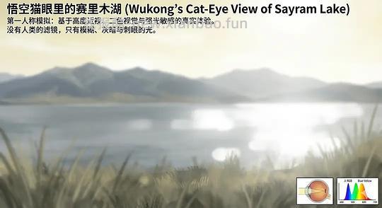 【科普】养猫科普漫画，持续更新中（1.17更新猫视觉听觉嗅觉、应激呕吐、消化呼吸泌尿系统、新猫到家、后院科普） - 线报酷