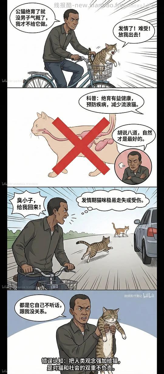 【科普】养猫科普漫画，持续更新中（1.17更新猫视觉听觉嗅觉、应激呕吐、消化呼吸泌尿系统、新猫到家、后院科普） - 线报酷