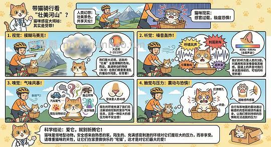 【科普】养猫科普漫画，持续更新中（1.17更新猫视觉听觉嗅觉、应激呕吐、消化呼吸泌尿系统、新猫到家、后院科普） - 线报酷