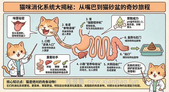 讨论/【科普】养猫科普漫画，不定期更新中（2.10 更新封窗、新手养猫误区科普） - 线报酷