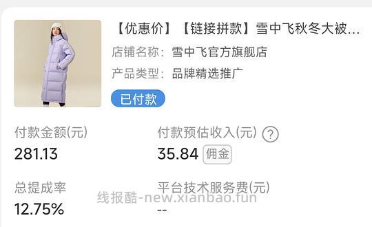 85r雪中飞长款羽绒服 - 线报酷