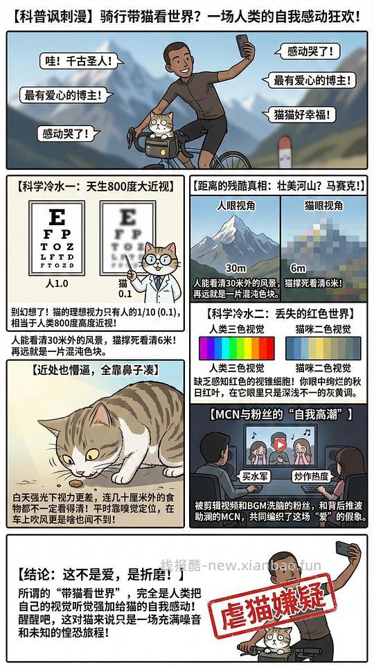 讨论/【科普】猫眼里看到的世界和猫并不想看的世界💁🏻请停止幻想，猫不需要这些 - 线报酷