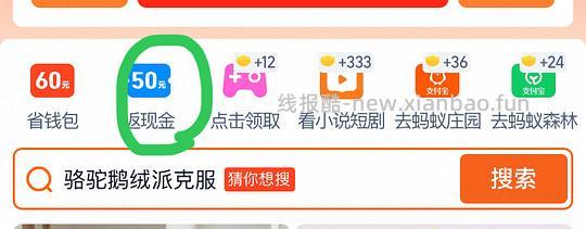 骆驼1930派克羽绒服 435r（弹限时优惠的话更低） - 线报酷