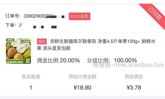 15.2💰自营新疆库尔勒香梨4.5斤 - 线报酷