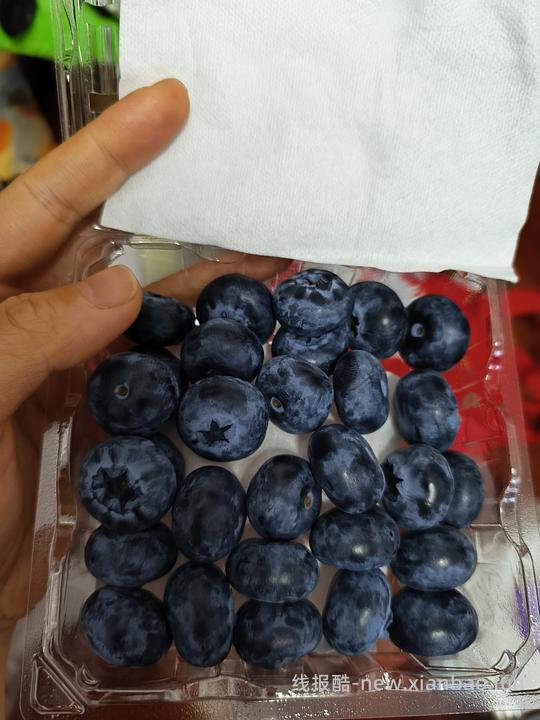 车回蓝莓22+，10/盒 - 线报酷