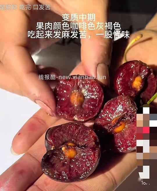 【交流】车厘子 是否变质 辨别方法图解 - 线报酷