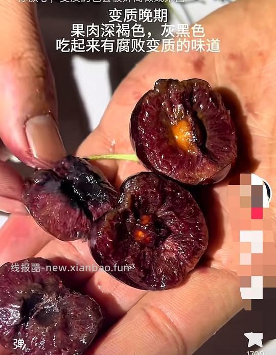 【交流】车厘子 是否变质 辨别方法图解 - 线报酷