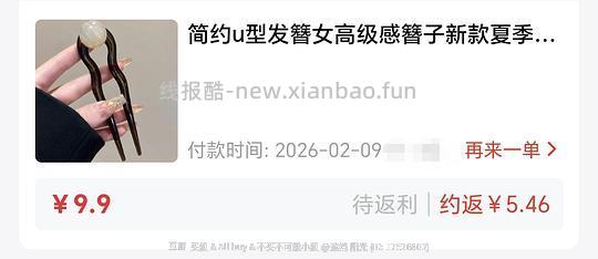 反薅一个U型发簪 - 线报酷