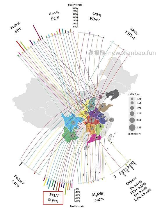 【科普】[养猫笔记08] 猫淋巴瘤（Feline Lymphoma）概述（1） - 线报酷