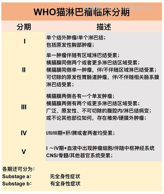 【科普】[养猫笔记08] 猫淋巴瘤（Feline Lymphoma）概述（1） - 线报酷