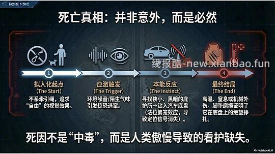 讨论/【科普】拟人化投射和科学指南 - 线报酷