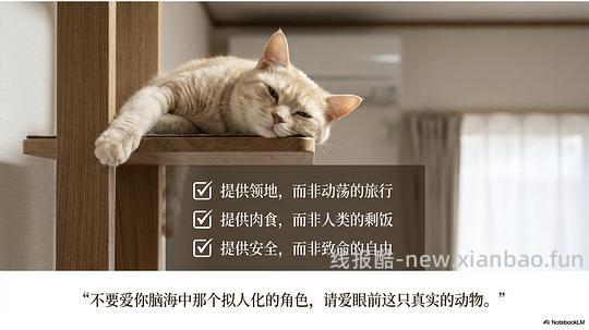 讨论/【科普】拟人化投射和科学指南 - 线报酷