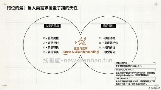 讨论/【科普】拟人化投射和科学指南 - 线报酷