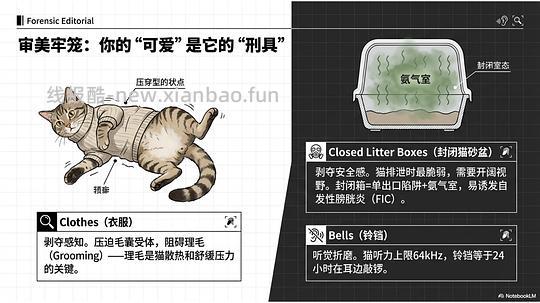 讨论/【科普】拟人化投射和科学指南 - 线报酷