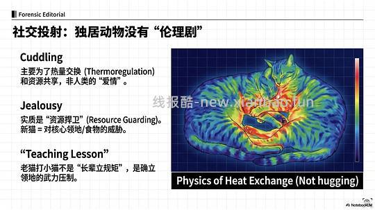 讨论/【科普】拟人化投射和科学指南 - 线报酷