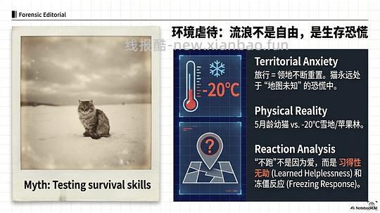 讨论/【科普】拟人化投射和科学指南 - 线报酷