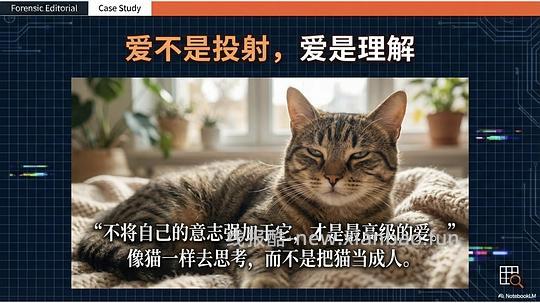 讨论/【科普】拟人化投射和科学指南 - 线报酷