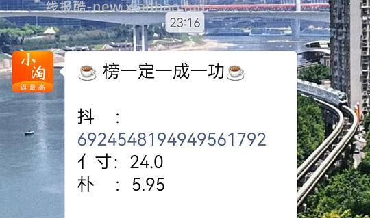 18r 花洛莉亚眉笔6支 - 线报酷