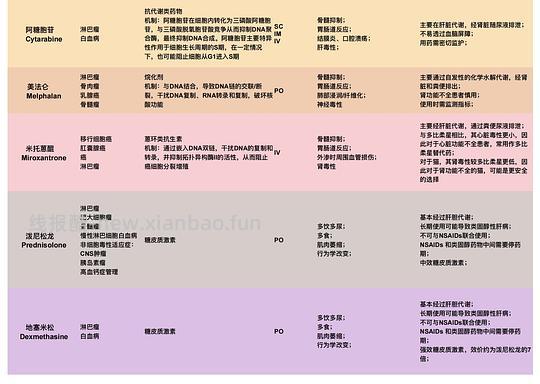 【科普】猫淋巴瘤概述（2） - 线报酷