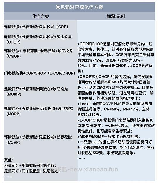 【科普】猫淋巴瘤概述（2） - 线报酷