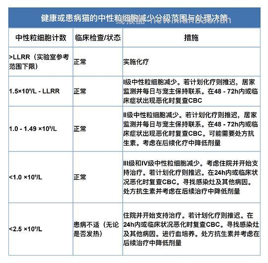 【科普】猫淋巴瘤概述（2） - 线报酷