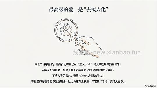 讨论/【科普】拟人化投射和科学指南 - 线报酷