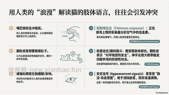 讨论/【科普】拟人化投射和科学指南 - 线报酷