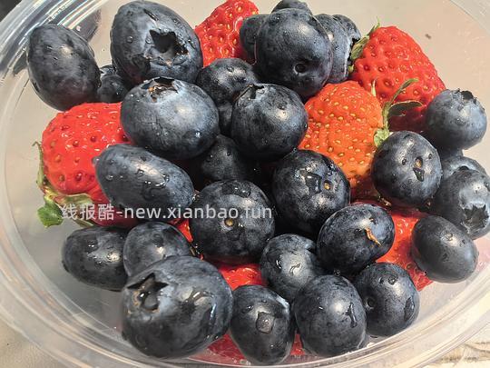 L25花香蓝莓18mm 125g一盒 5.92元/盒 - 线报酷