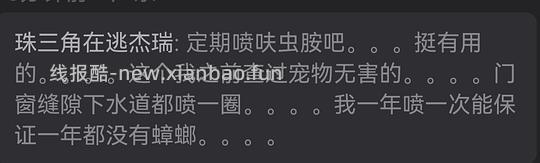 【科普】广东人教你无接触，无污染，无爆崽解决蟑螂，养宠人必备妙招 - 线报酷