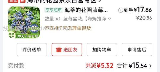 海蒂的花园蓝莓🫐盆栽17左右，果子很多 - 线报酷