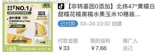北纬47度黄糯玉米10根  6块 - 线报酷