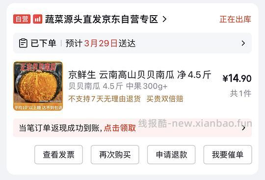 13.7入 京鲜生贝贝南瓜，单个300g 共4.5斤 - 线报酷
