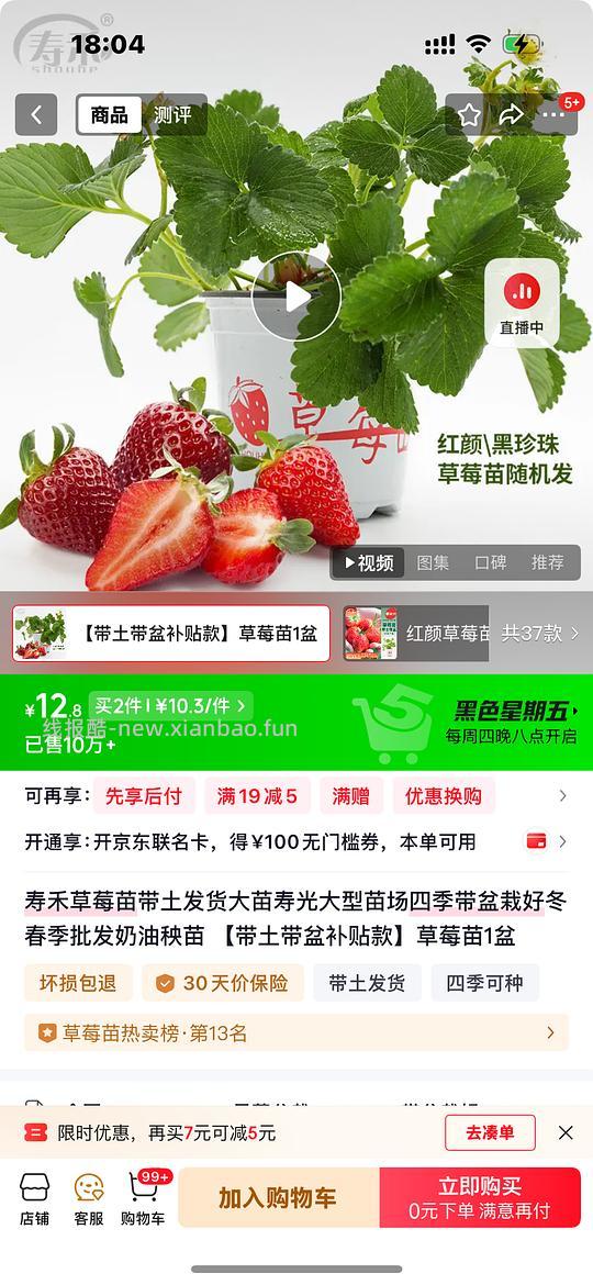 1元草莓盆栽带土带盆 - 线报酷