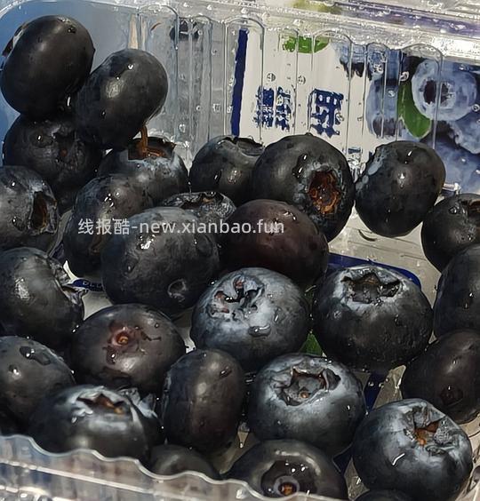 JD11.9r 两盒蓝莓 有4元劵 - 线报酷