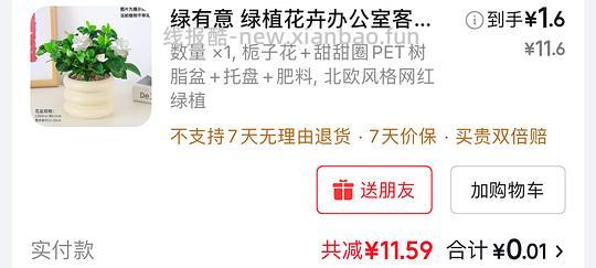 1分钱买盆栀子花（车回，又上架了） - 线报酷