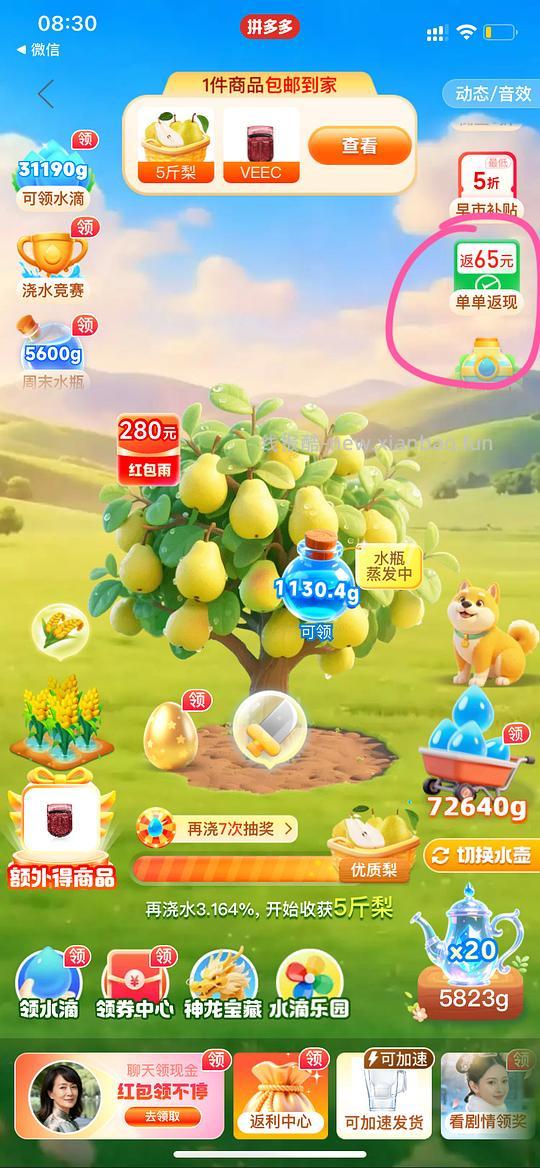 碧然德净水壶一壶一芯40 - 线报酷