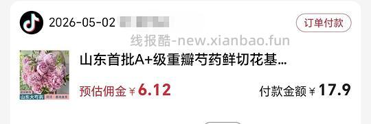 3.8买5支山东芍药 - 线报酷