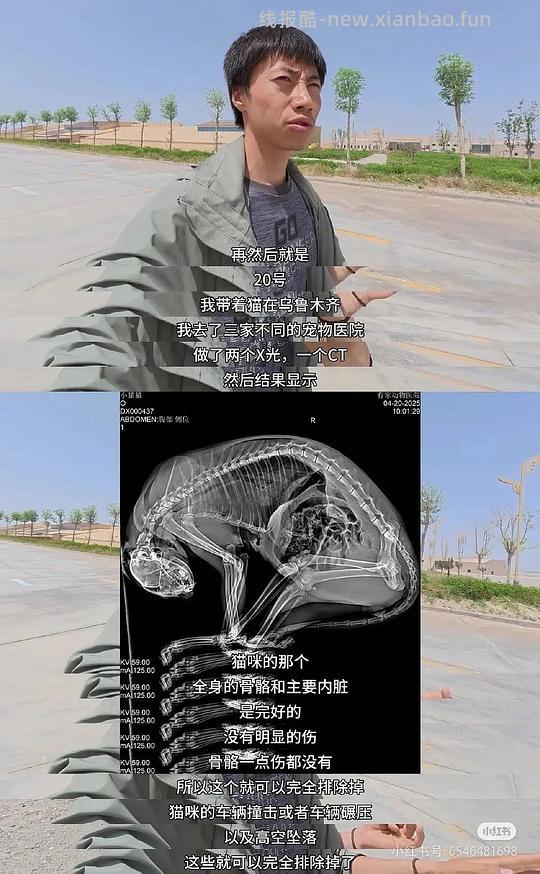 讨论/【科普】为什么在赵朔的叙事里悟空“必须”死于“抗凝血类老鼠药”？细思恐极 - 线报酷