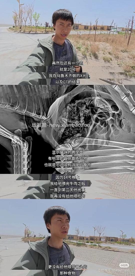 讨论/【科普】为什么在赵朔的叙事里悟空“必须”死于“抗凝血类老鼠药”？细思恐极 - 线报酷