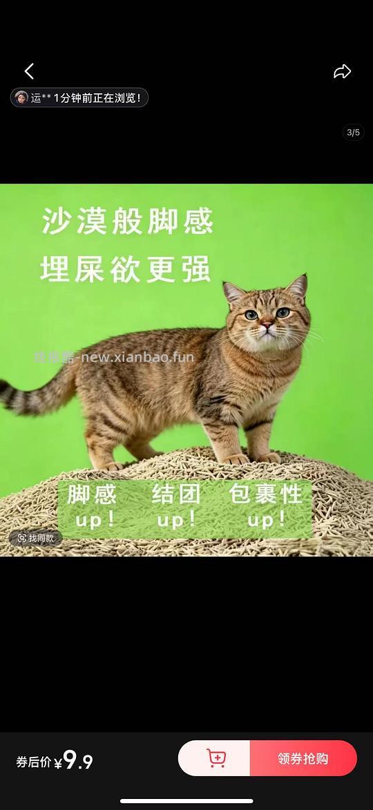 猫砂开车 - 线报酷
